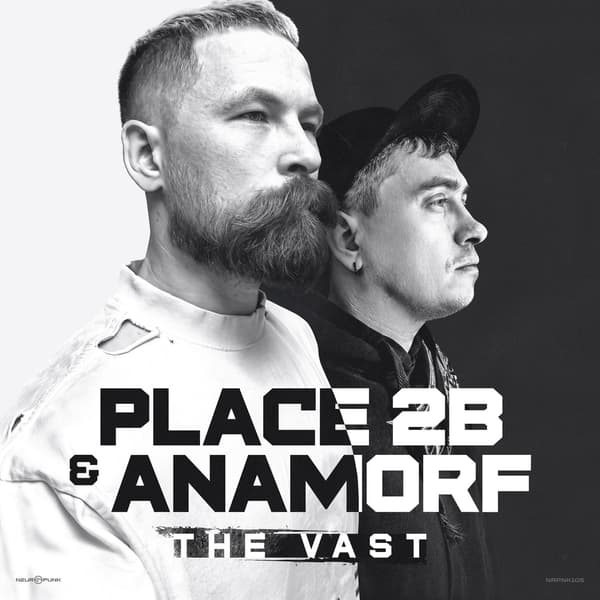 Cover Place 2b & Anamorf - The Vast