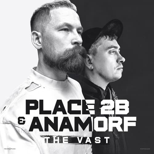 Cover Place 2b & Anamorf - The Vast